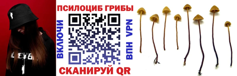 Галлюциногенные грибы прущие грибы  Валуйки 